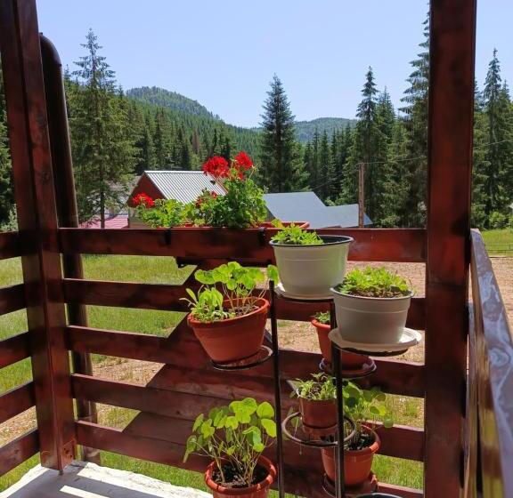 Pensjonat Cabana Colț De Rai