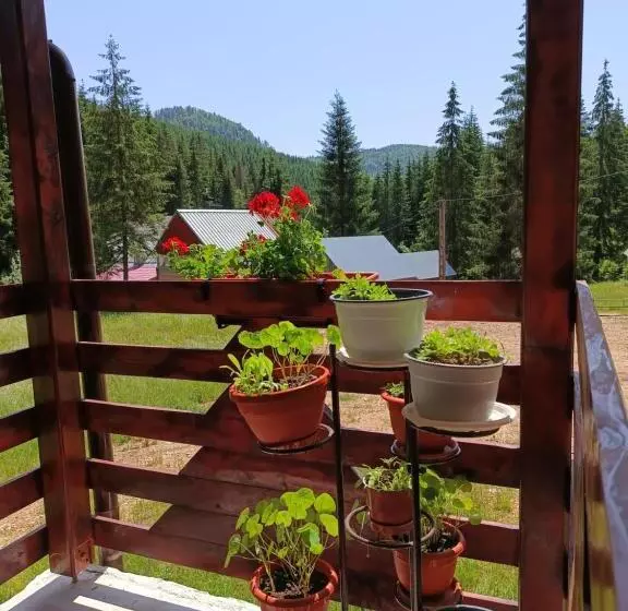 ペンション Cabana Colț De Rai