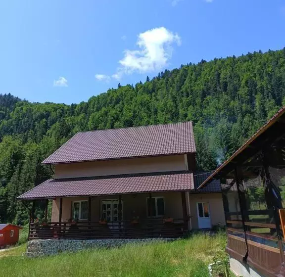 ペンション Cabana Colț De Rai