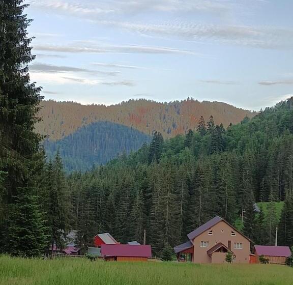 Pensjonat Cabana Colț De Rai