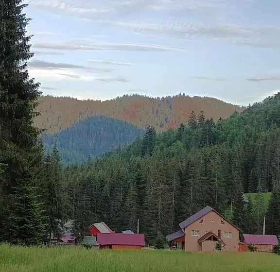 ペンション Cabana Colț De Rai