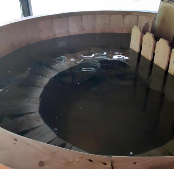 Pensjonat Cabana Colț De Rai