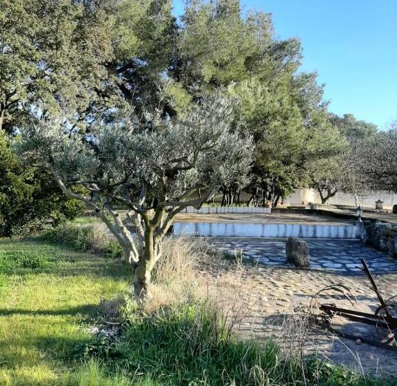 پانسیون Chambre D Hotes Mas Pékin