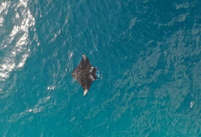 پانسیون Chaalu Mathiveri Inn