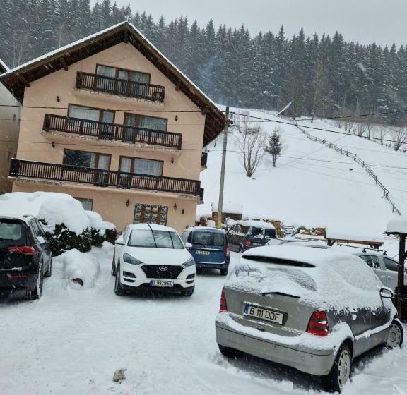 Pensiunea Bradul,moieciu De Sus