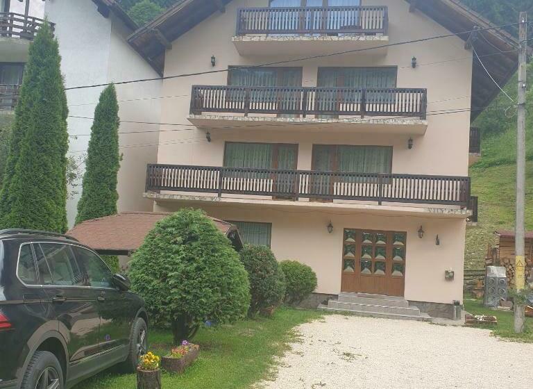 Pensiunea Bradul,moieciu De Sus