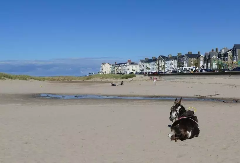 هتل Bae Abermaw Boutique B&b