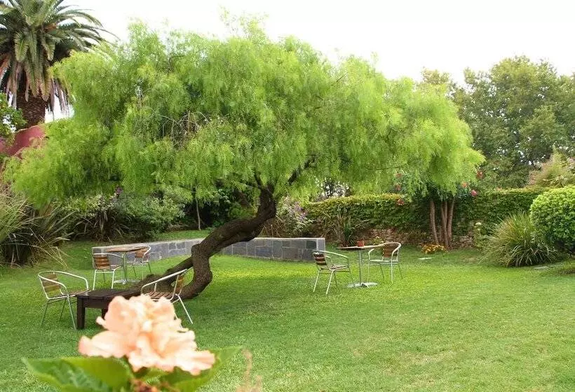 호텔 Posada El Capullo