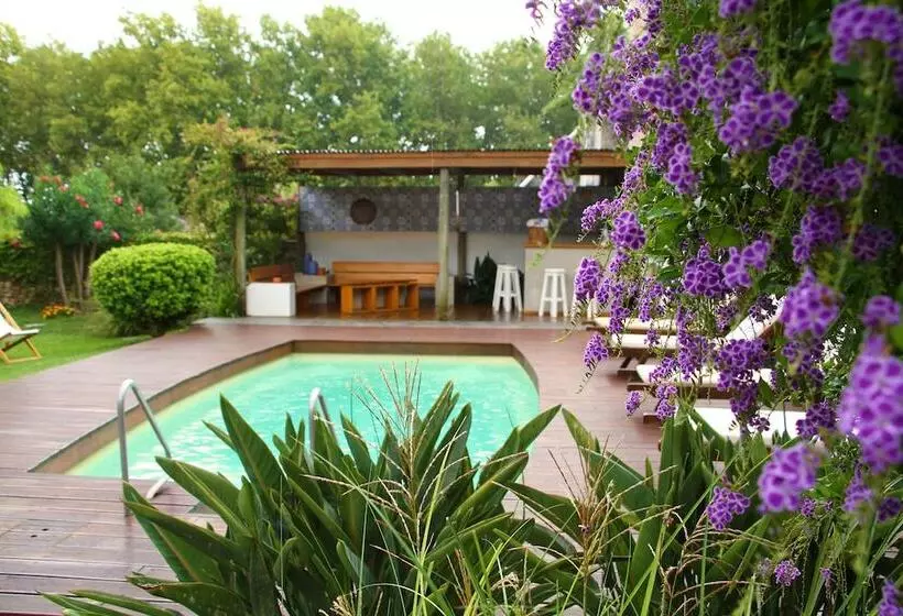 호텔 Posada El Capullo