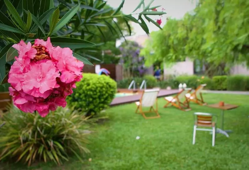 호텔 Posada El Capullo