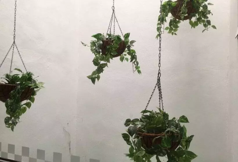 Отель Simfoni Resort