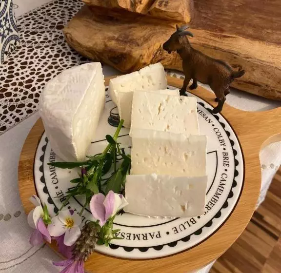 Aamiaismajoitus (B&B) D Artemisia Chambres D Hôtes