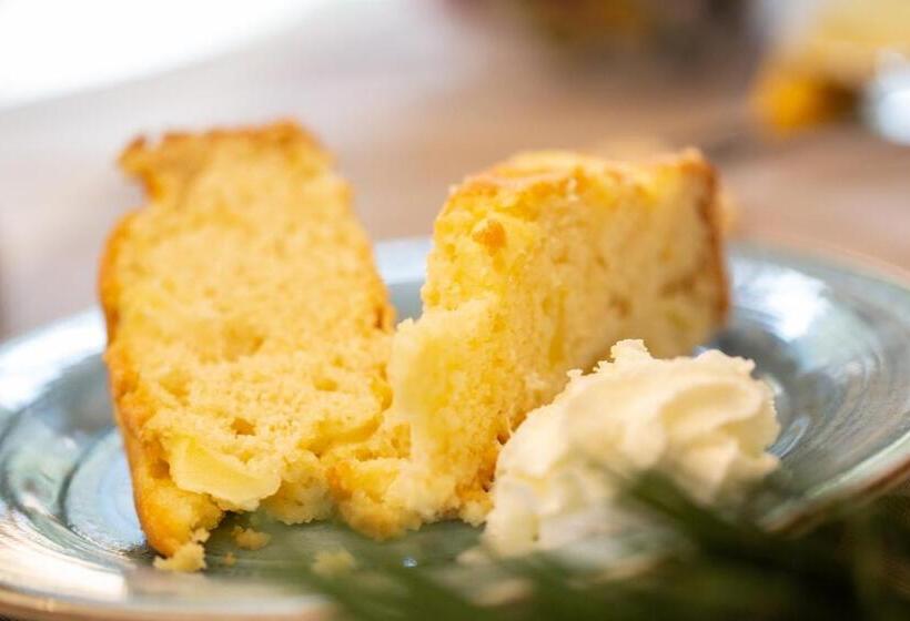 Bed and Breakfast D Artemisia Chambres D Hôtes