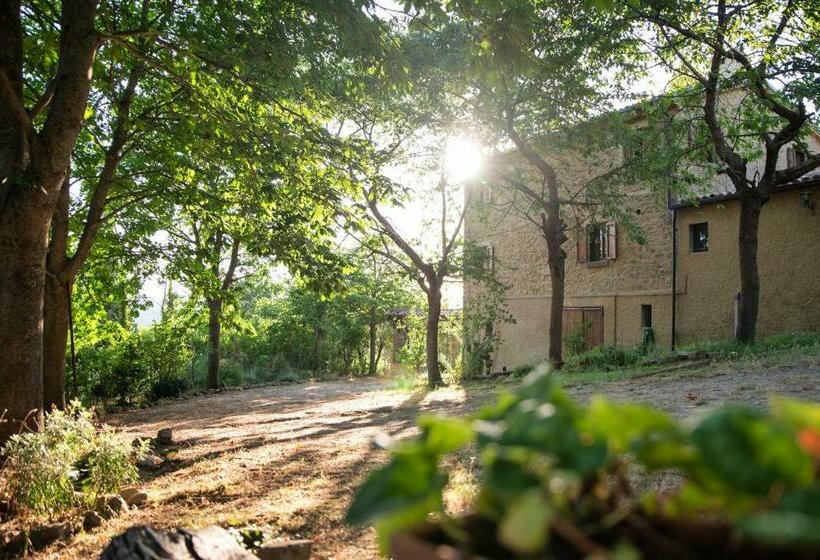 ペンション Camera A Casa Castora