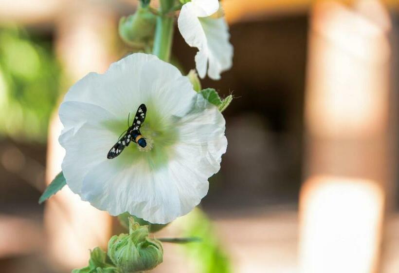 ペンション Camera A Casa Castora