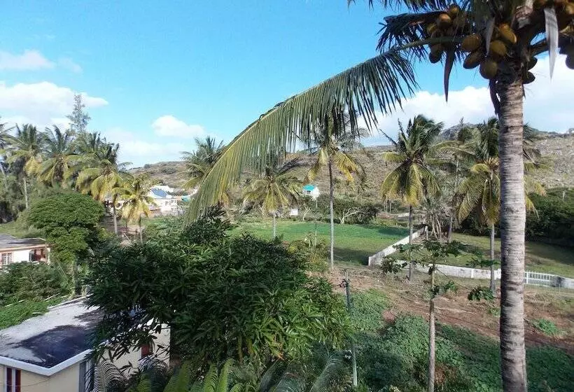 پانسیون La Villa Allamanda