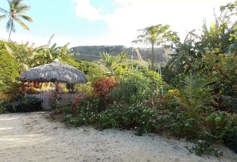 پانسیون La Villa Allamanda