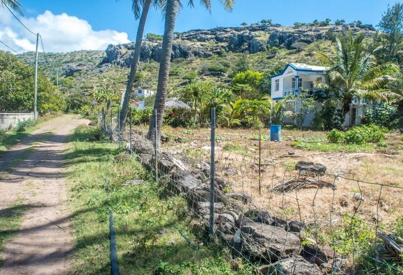 پانسیون La Villa Allamanda