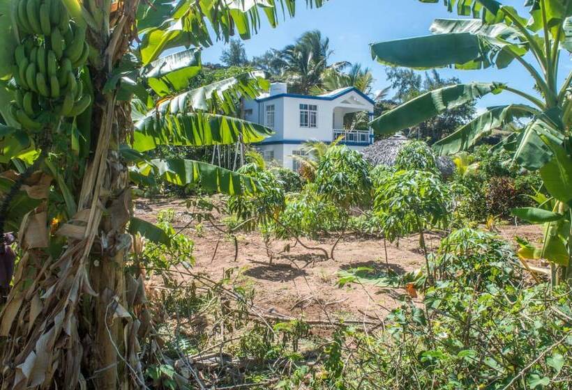 پانسیون La Villa Allamanda