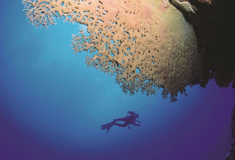 پانسیون La Villa Allamanda