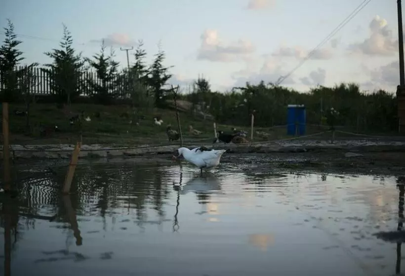 リゾートホテル Natyra E Ishullit, Lezhe ,ishull Shengjin, Lezhe, Alessio, Shengjin