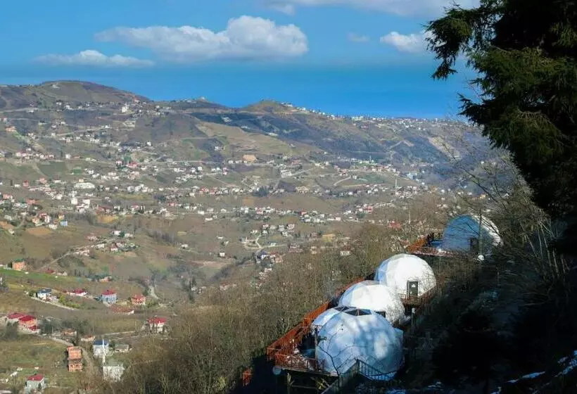 Zedomepanorama