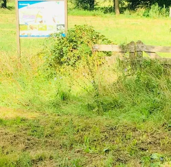 Aamiaismajoitus (B&B) B &b Yuupke Maasbree Noord Limburg Venlo Roermond