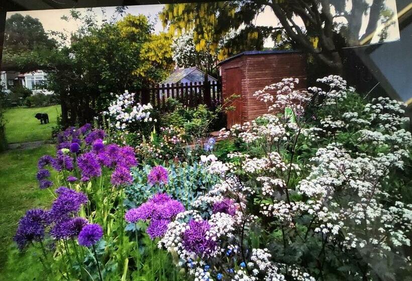 مبيت وإفطار Icthus