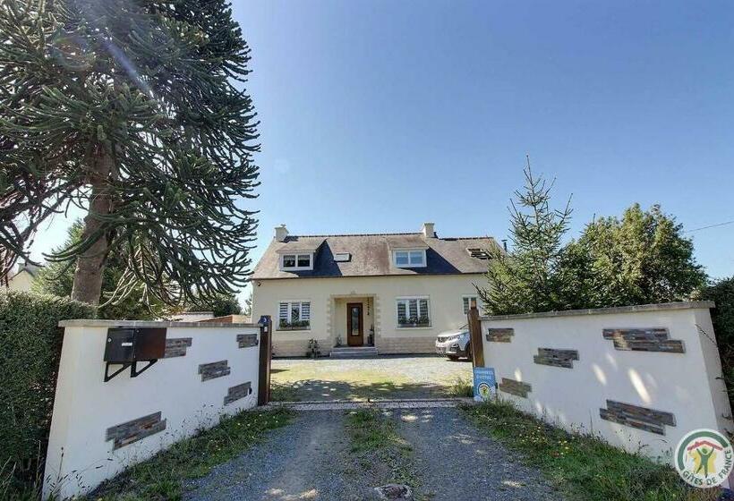 Bed and Breakfast L Araukaria