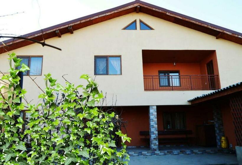 Casa Ella Pensiune Agroturistică