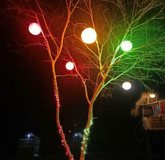 Hotel Homocation Beach Eco Camp