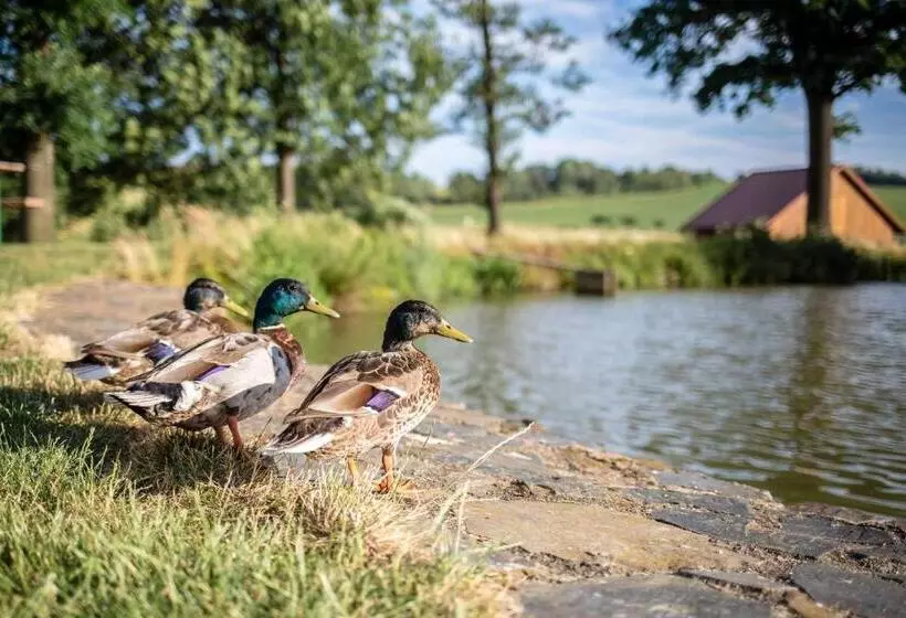 ペンション Podveský Mlýn