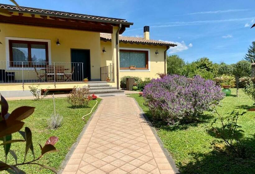 بنسيون The Tao Of Beauty