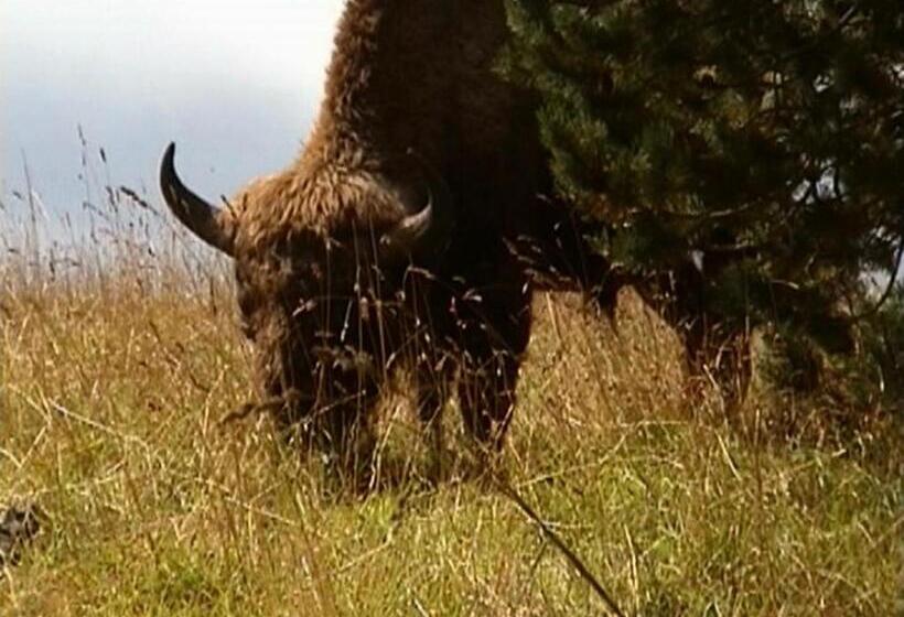 فندق على الطريق Les Chalets De La Margeride