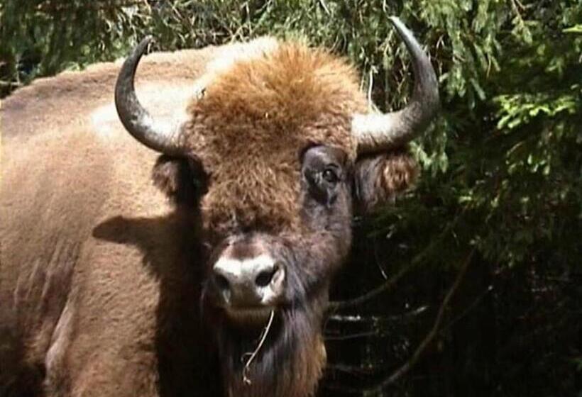 فندق على الطريق Les Chalets De La Margeride