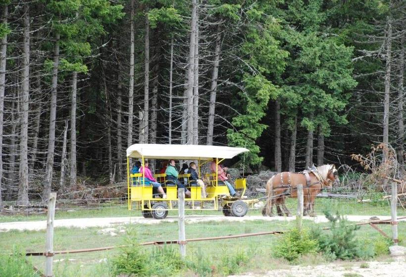 فندق على الطريق Les Chalets De La Margeride