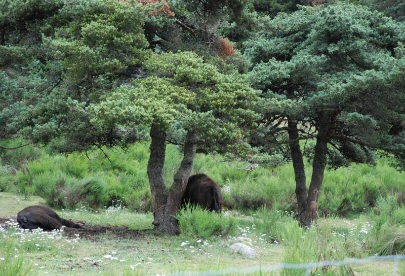 فندق على الطريق Les Chalets De La Margeride