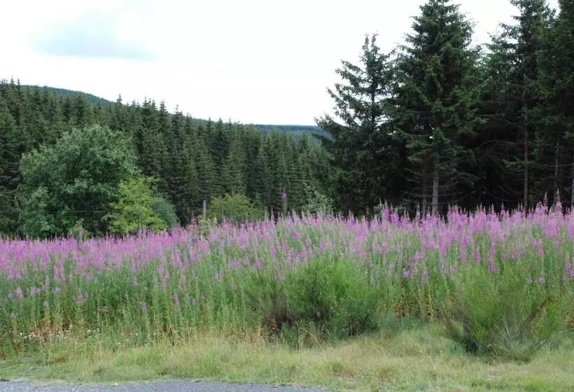 モーテル Les Chalets De La Margeride