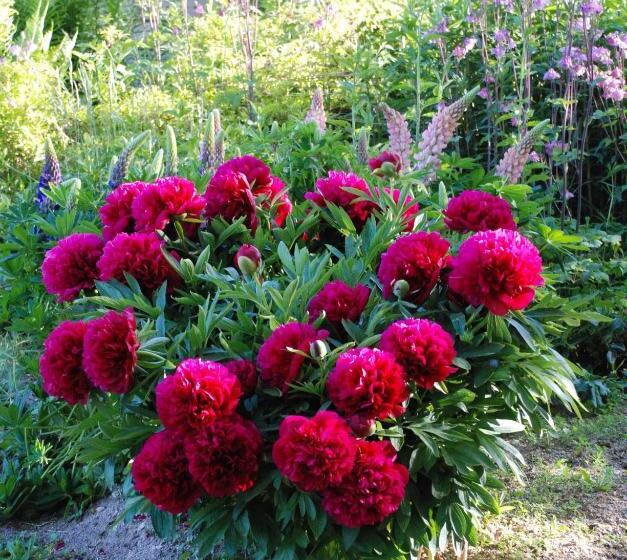 فندق على الطريق Les Chalets De La Margeride