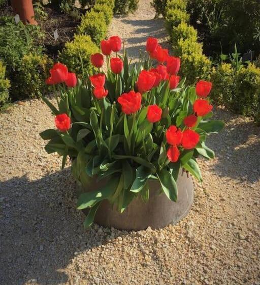 ペンション Le Haut Repaire