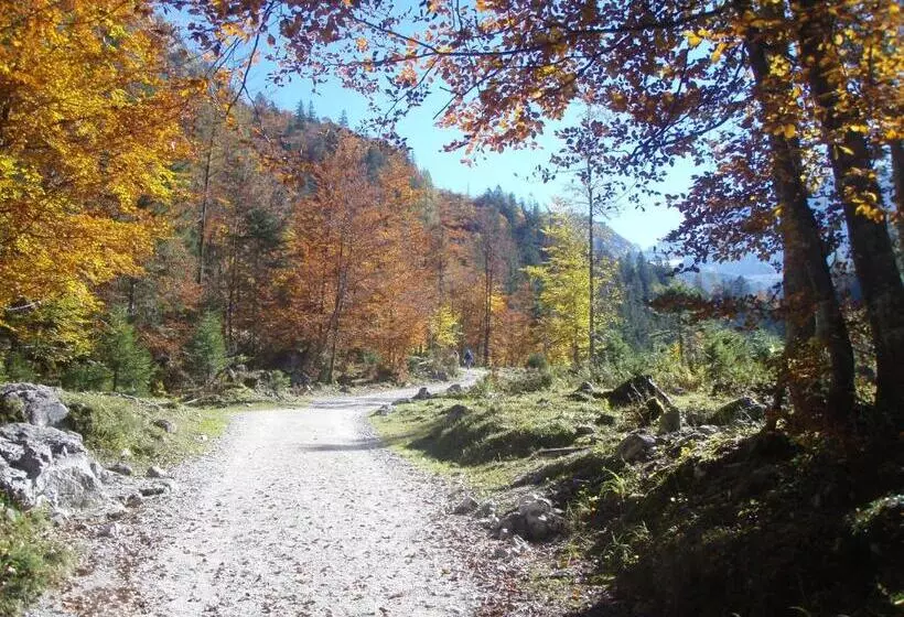 Austrian Alps   Haus Kienreich