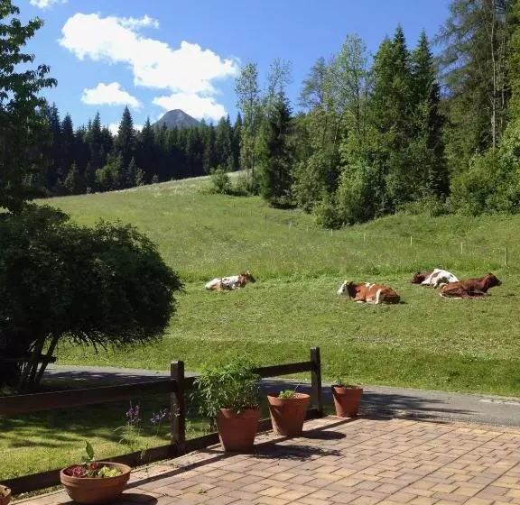 Austrian Alps   Haus Kienreich
