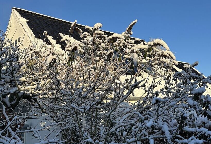 פונדק Helts B&b   Helts Guesthouse