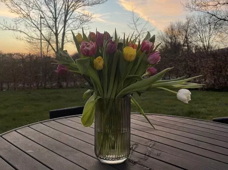 여관 Helts B&b Helts Guesthouse