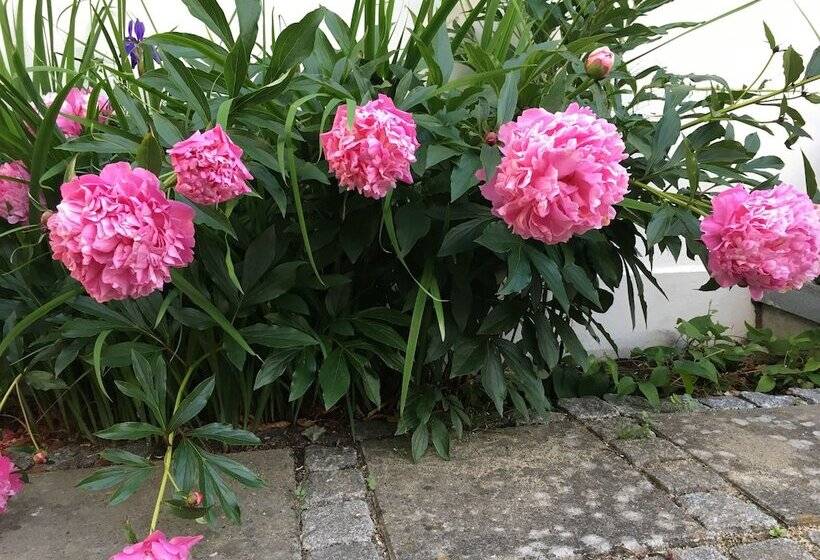 פונדק Helts B&b   Helts Guesthouse