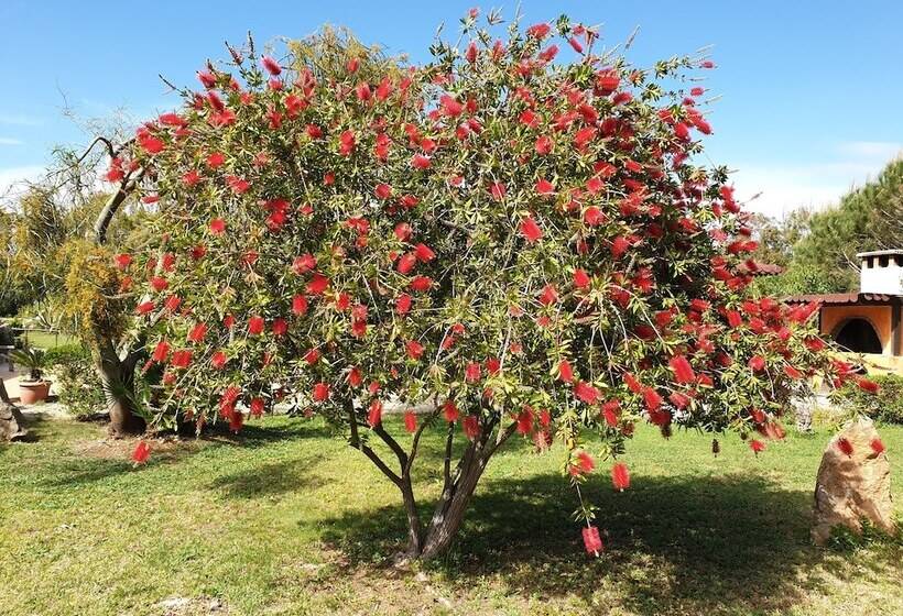 Szálloda Agriturismo Baratz