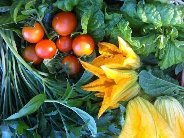 Szálloda Agriturismo Baratz