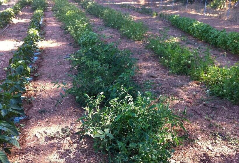 Szálloda Agriturismo Baratz