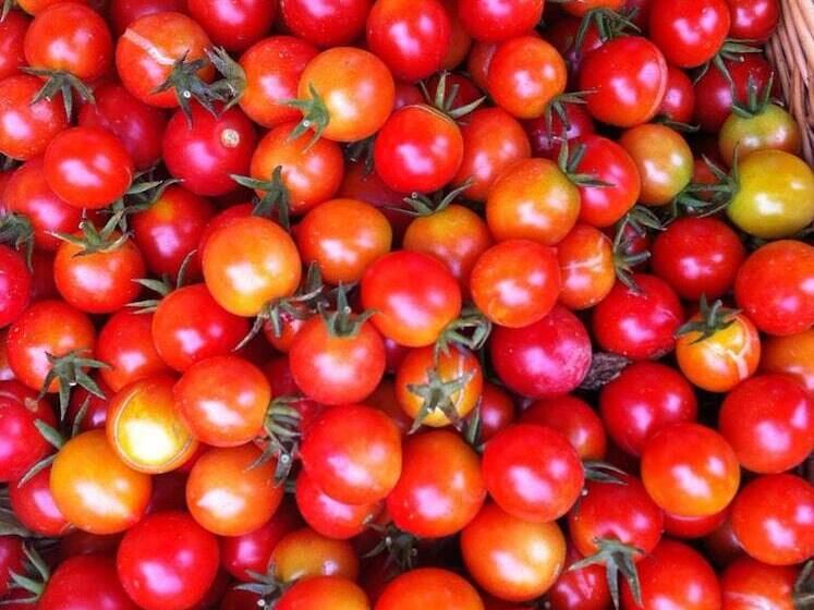 Szálloda Agriturismo Baratz