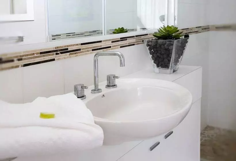 Noosa Tropicana
